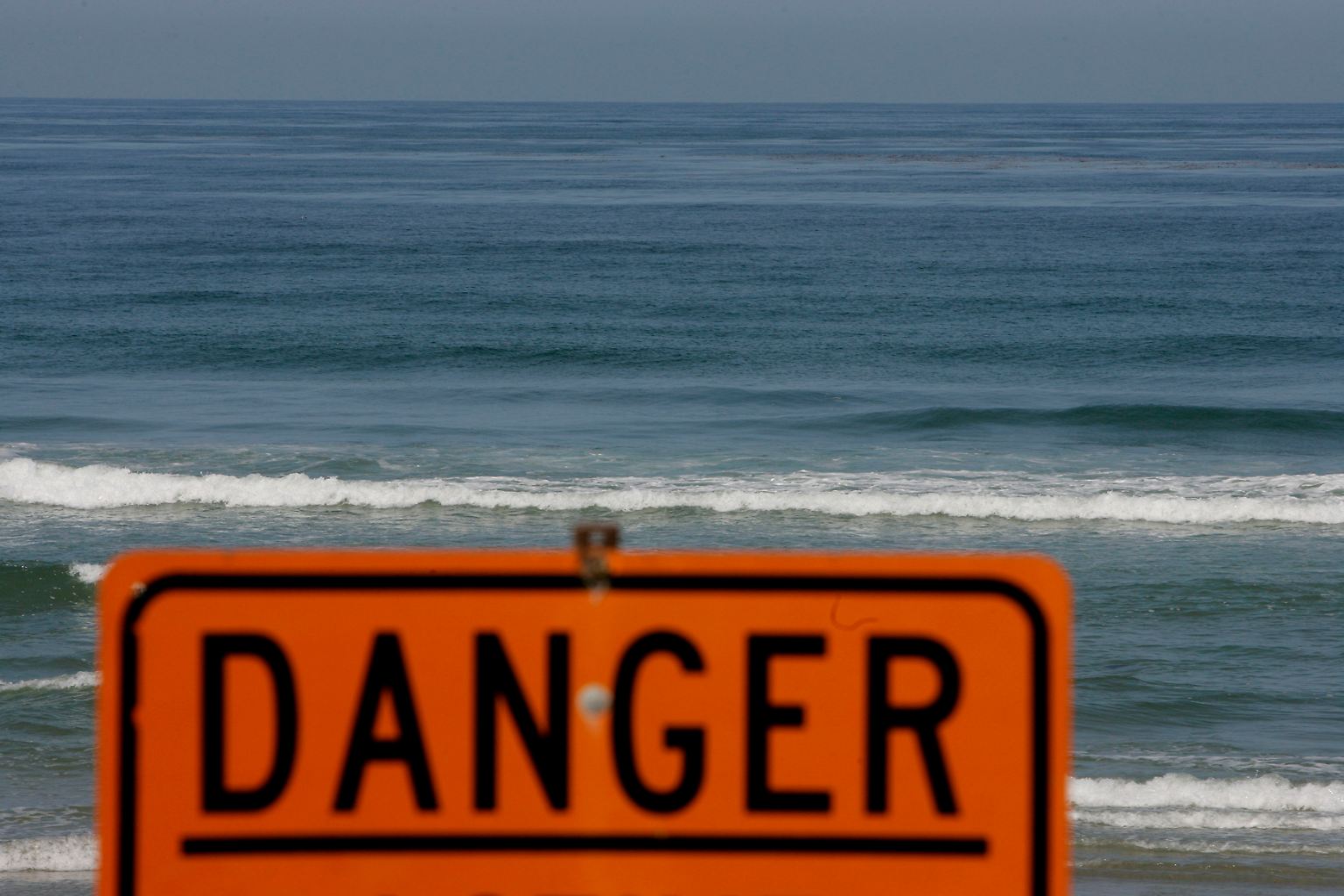 Immer wieder werden in Hawaii, an den Küsten Floridas, Australiens und Südafrikas Surfer und Schwimmer von Haien angegriffen.