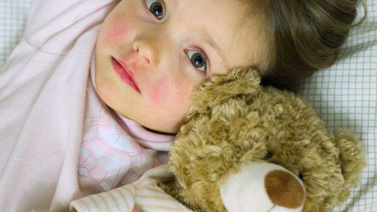 Ohne Teddy geht gar nichts: Plüschtiere, die regelmäßig mit ins Bett genommen werden, sind echte Paradiese für Milben.