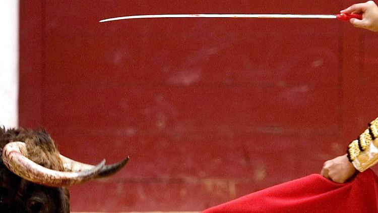 Die Sparmaßnahmen der Regierung könnten zum roten Tuch für Spaniens Bürger zum roten Tuch werden: Immer mehr sind arbeitslos.