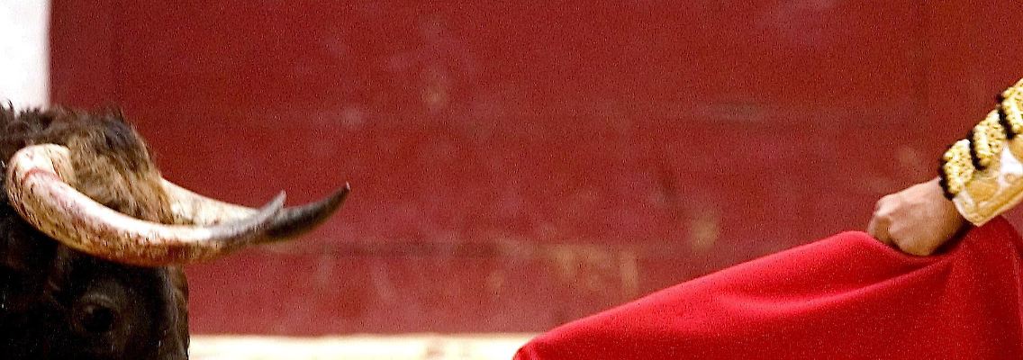 Die Sparmaßnahmen der Regierung könnten zum roten Tuch für Spaniens Bürger zum roten Tuch werden: Immer mehr sind arbeitslos.