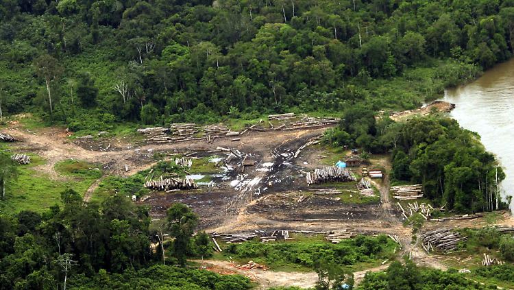 Mit dem Projekt Belo Monte schreitet die Abholzung des Regenwaldes am Amazonas voran.