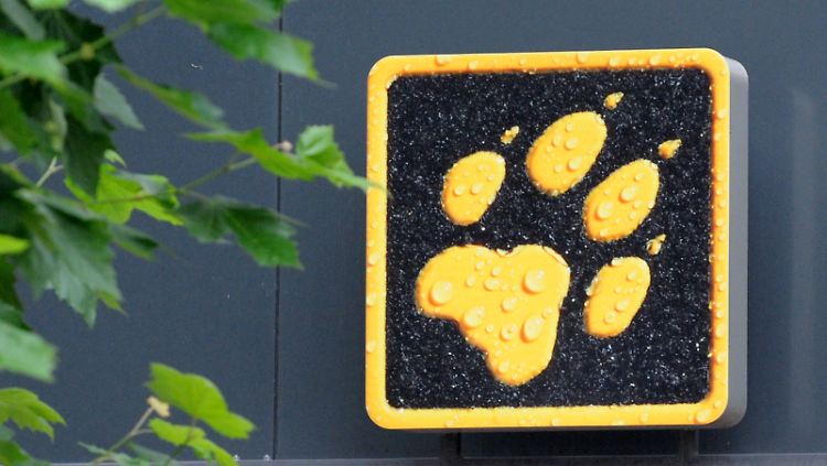 Unter anderem sind Jacken der Marke Jack Wolfskin betroffen.