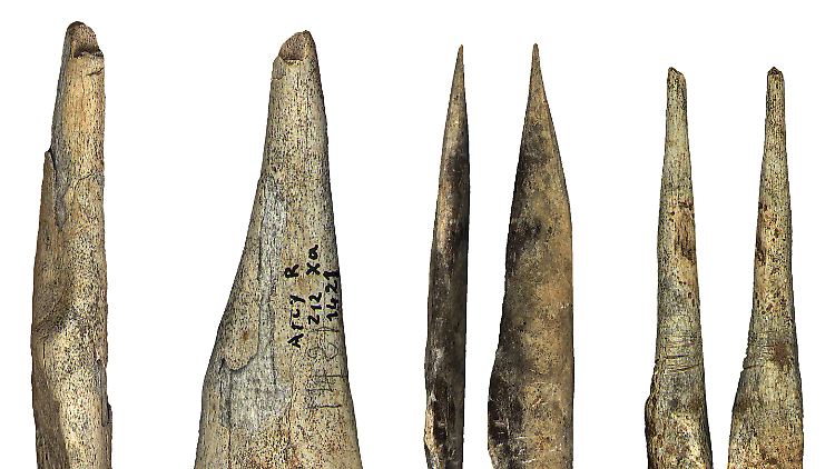Während der archäologischen Kultur Châtelperronien hergestellte Knochenartefakte aus der Grotte du Renne.