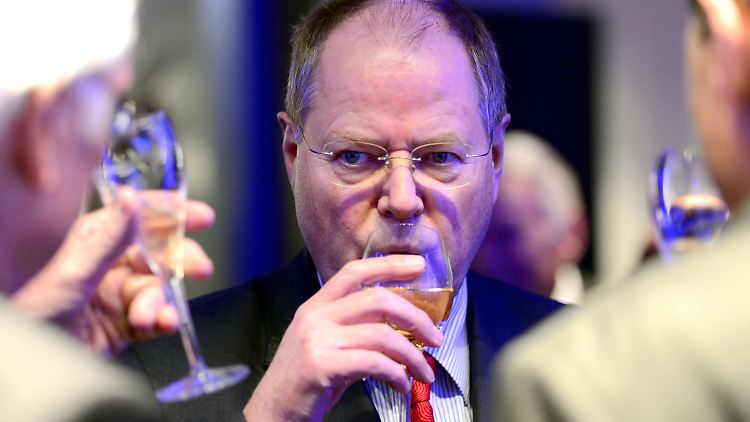 Dem politischen Gegner kommt die Debatte um Peer Steinbrücks Millionen gelegen.