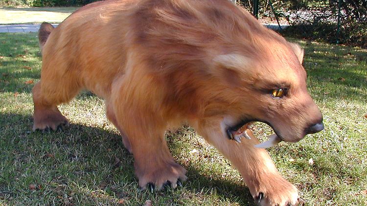 Fossile Funde von urzeitlichen Säugetieren sind äußerst selten.
