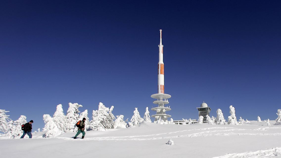 Ausflügler auf dem Rundwanderweg unterhalb des Brockens im Nationalpark Harz.