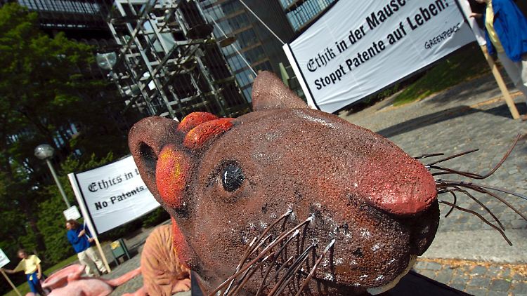 Ein überdimensionales Modell einer Maus steht während eines Greenpeace-Protestes vor dem Europäischen Patentamt (EPA) in München. (Archivbild 2004) 
