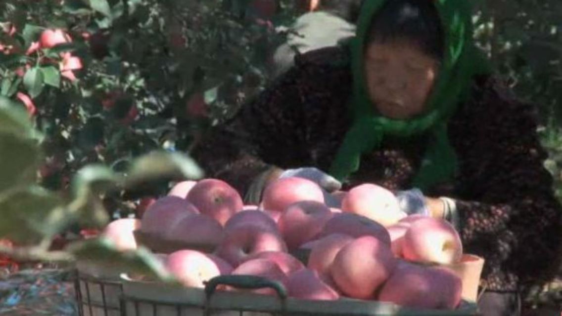 china.JPG