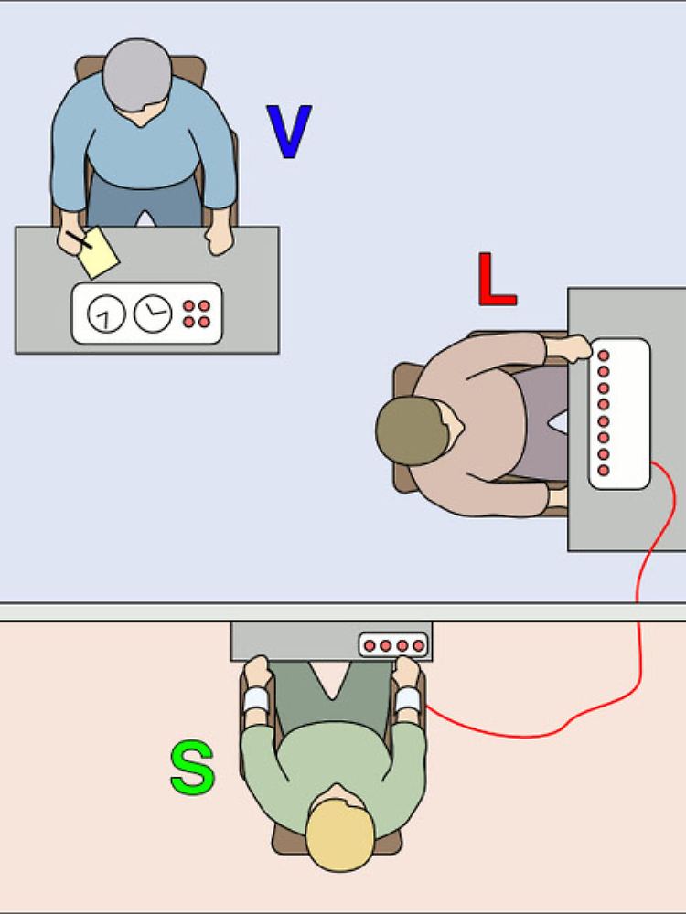 Der Dokumentarfilmer Christophe Nick wiederholt das berühmte Milgram-Experiment aus den 60er Jahren: Der Versuch bestand darin, dass die Versuchsperson, der "Lehrer" (L), einem Schauspieler, dem "Schüler" (S), bei fehlerhaften Antworten einen elektrischen Schlag versetzten sollte. Ein Versuchsleiter (V) überwachte das vermeintliche Experiment zur Untersuchung des Zusammenhangs von Bestrafung und Lernerfolg.