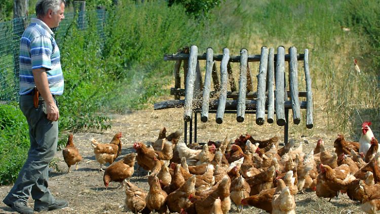 Eine Gefahr in der ökologischen Landwirtschaft: Nicht immer ist klar, welche Gifte im Boden schlummern.