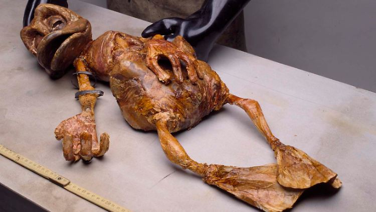 Ein früher Nachweis der Entenkultur: Dötzi, gefunden in einem Gletscher in den Alpen.