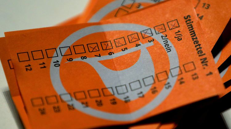 Die Piraten stimmen ab.