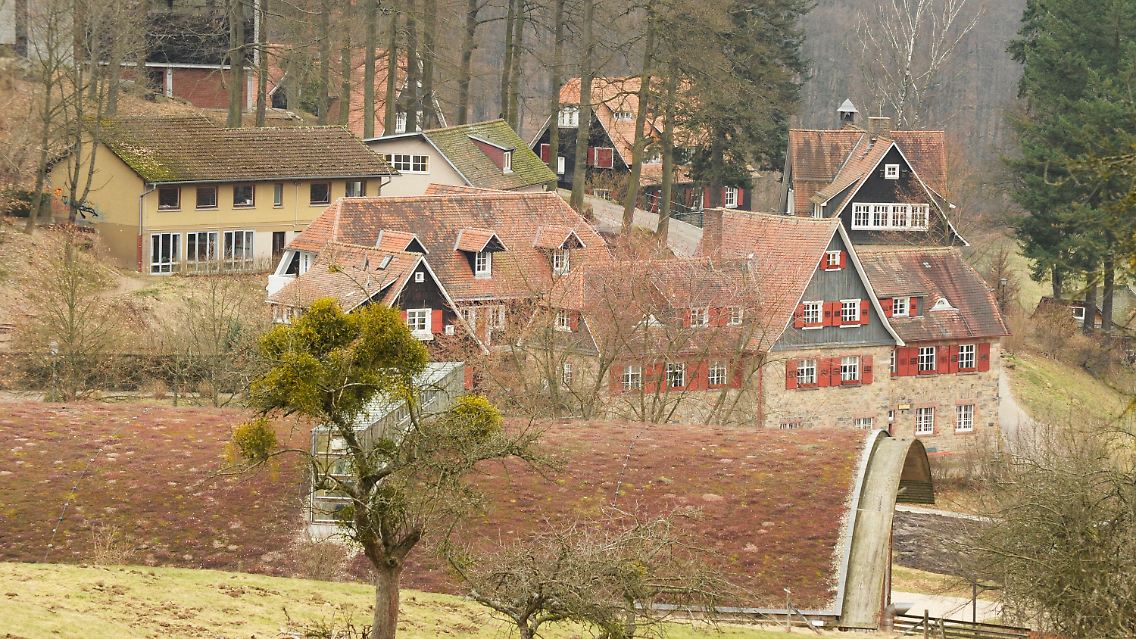 Das renommierte Internat Odenwaldschule im hessischen Ober-Hambach.