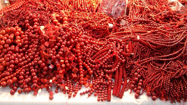 Rote Edelkorallen sind vor allem in der Schmuckindustrie beliebt.