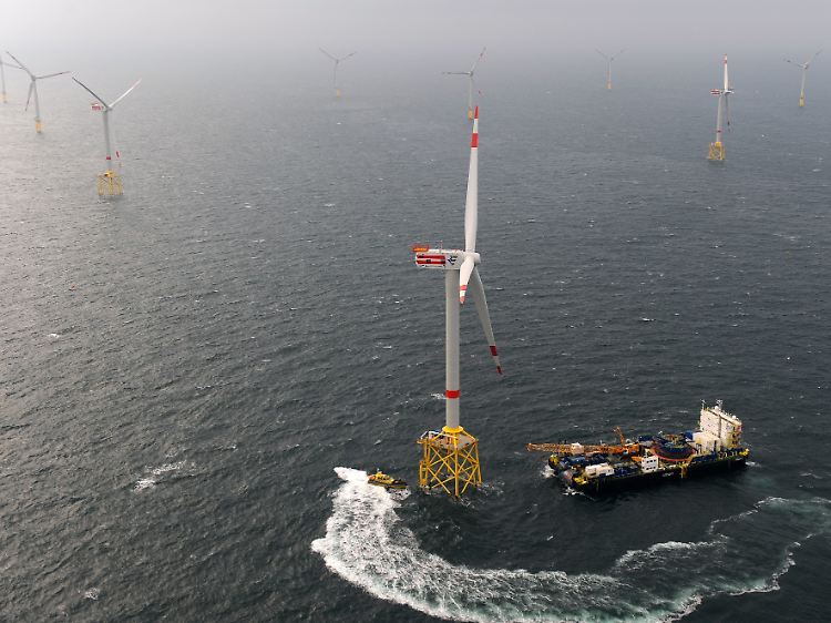 Baulärm unter Wasser, den vor allem Offshore-Windparks mit sich bringen, kann die empfindliche Kommunikation von Blauwalen und anderer kleinerer Meeressäuger wie den Schweinswal stören.