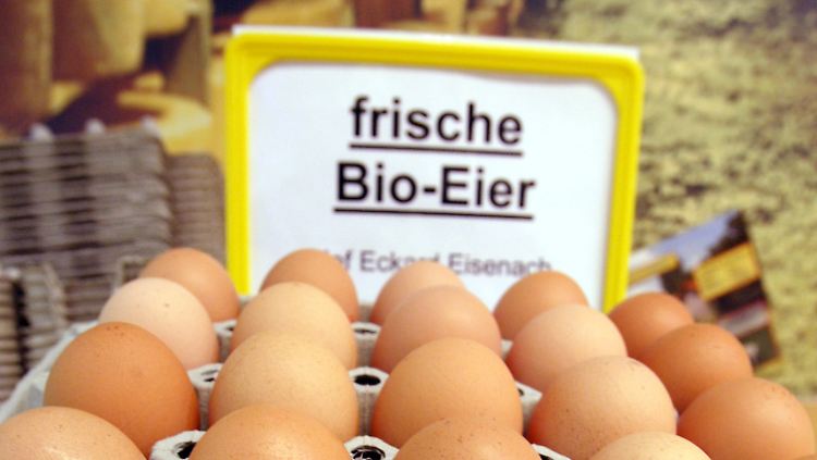 Bio-Eier sind Eier von glücklichen Hühnern. Oder?