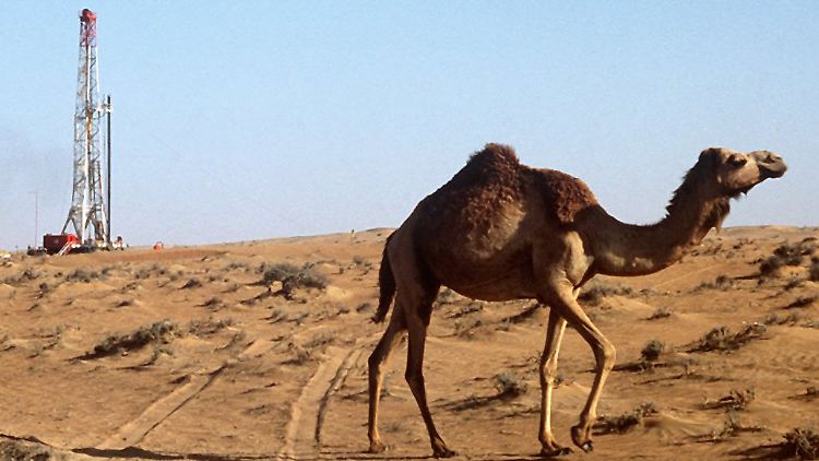 Eine einfache Bohrung reicht oft aus, um dem Öl einen Weg nach oben zu bahnen. Hier ein Bohrturm in den Vereinigten Arabischen Emiraten.