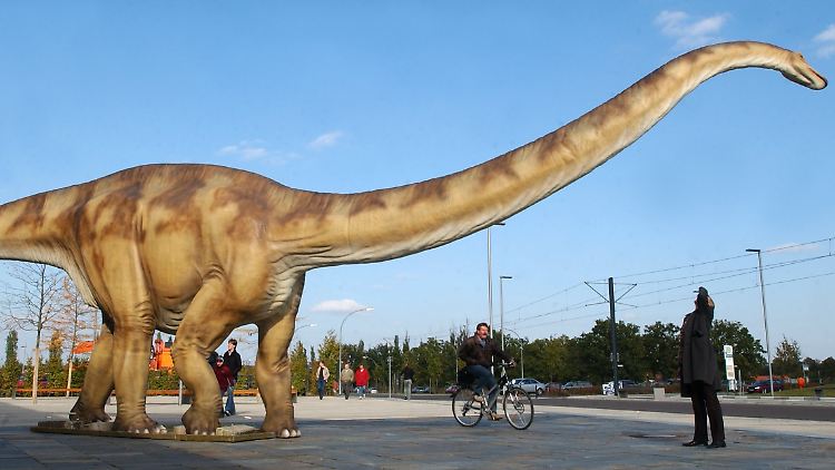 6 Meter hoch und 27 Meter lang: Kunststoff-Dinosaurier der Gattung Diplodocus. Die Riesensaurier bissen sich am Futter öfter die Zähne aus.
