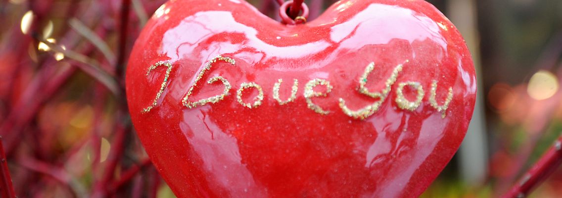 "Dear Fed, be my Valentine...."