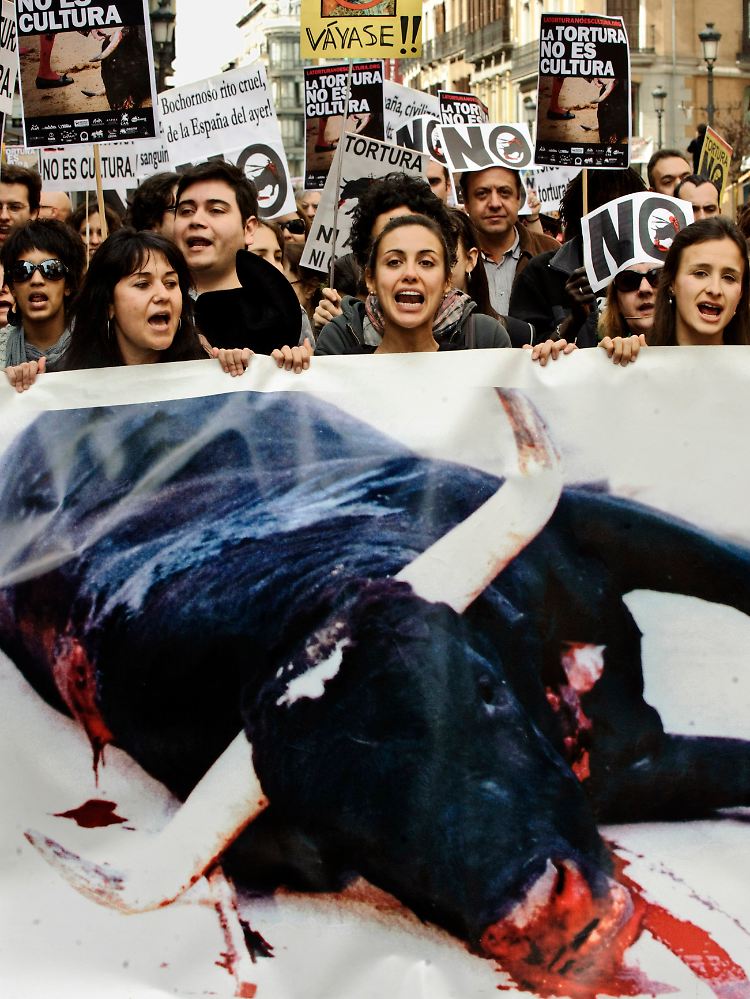 Demonstranten in Madrid.