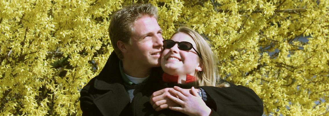 In den letzten 30 Jahren hat sich die Heiratswahrscheinlichkeit halbiert.