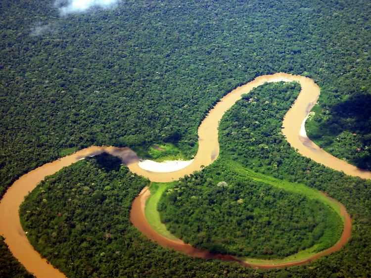 Unter dem Yasuní-Nationalpark befindet sich ein Fünftel der Ölvorkommen Ecuadors.