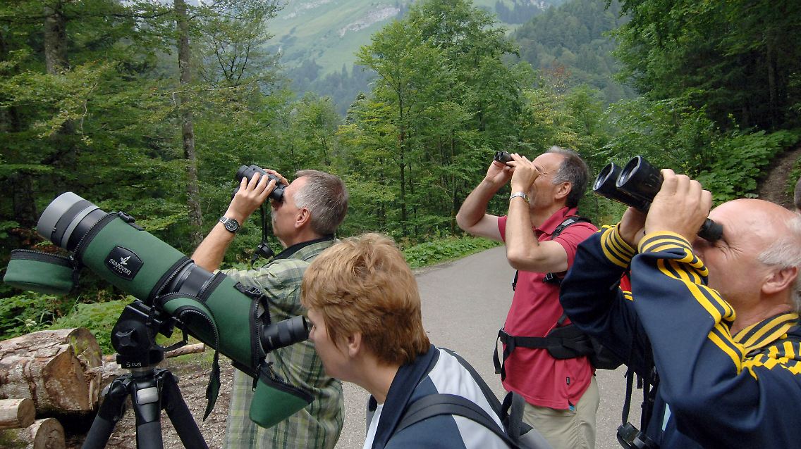 Nicht nach unten oder zurück: Der Blick ist wieder nach vorn gerichtet.