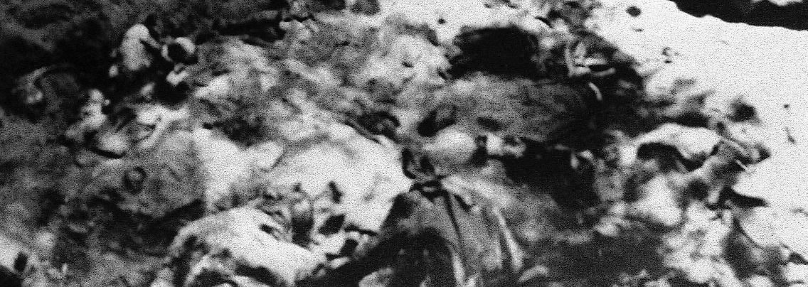 Ein Massengrab in Katyn im Jahr 1943.