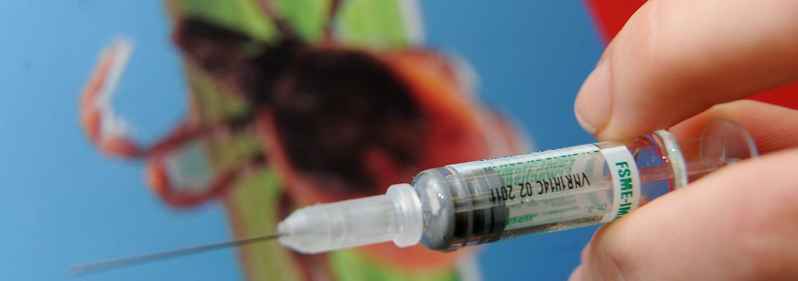 Experten raten zur Impfung gegen die von Zecken übertragenen Erreger der Hirnhautentzündung.