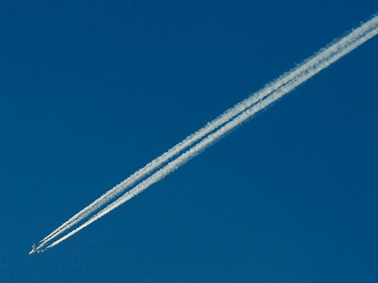 Schwer einschätzbare Partikelgefahr im Luftraum: IATA-Präsident Giovanni Bisignani wirbt für Staatshilfen.