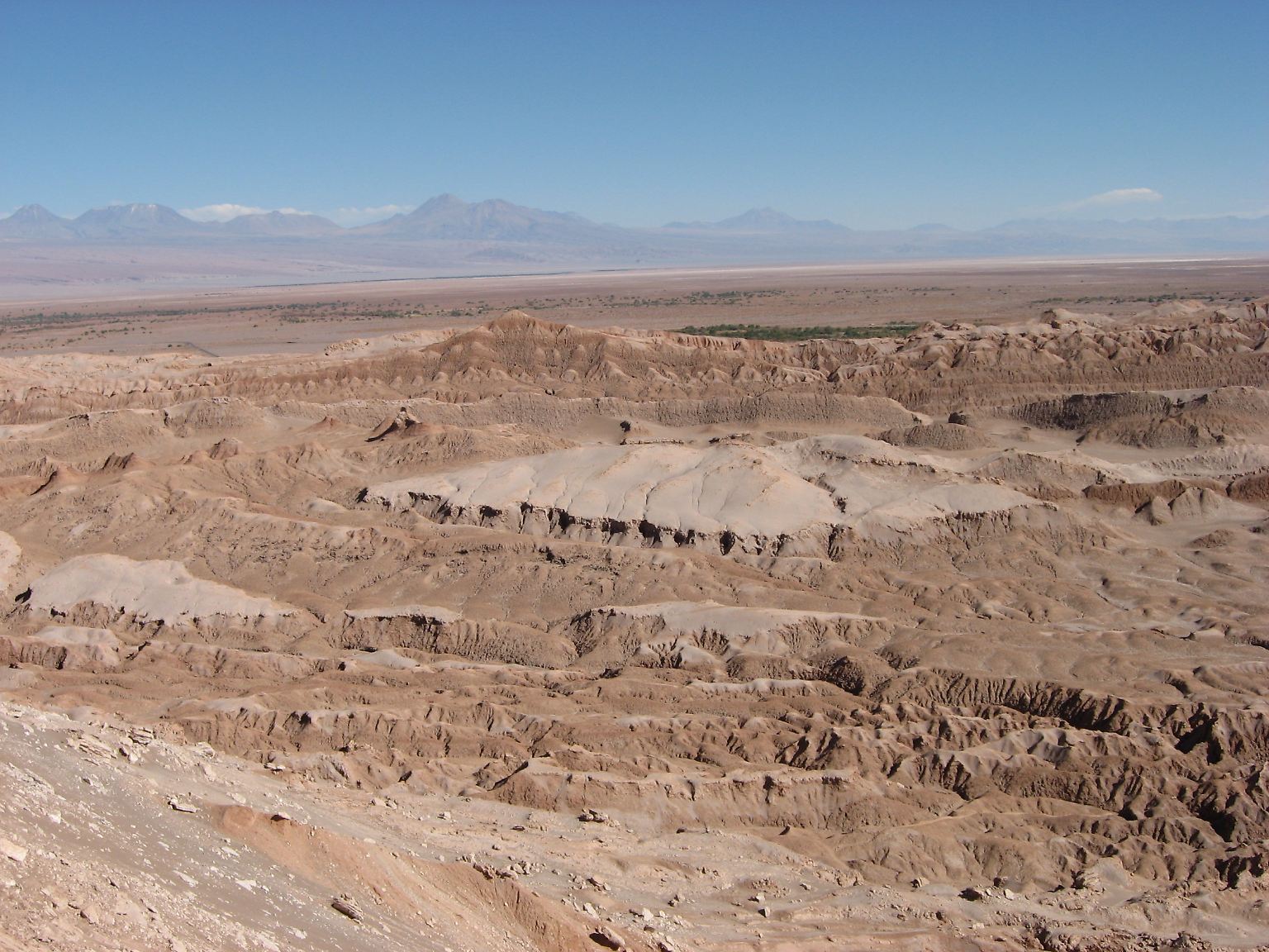 Die Atacama gilt als die trockenste Wüste der Erde.