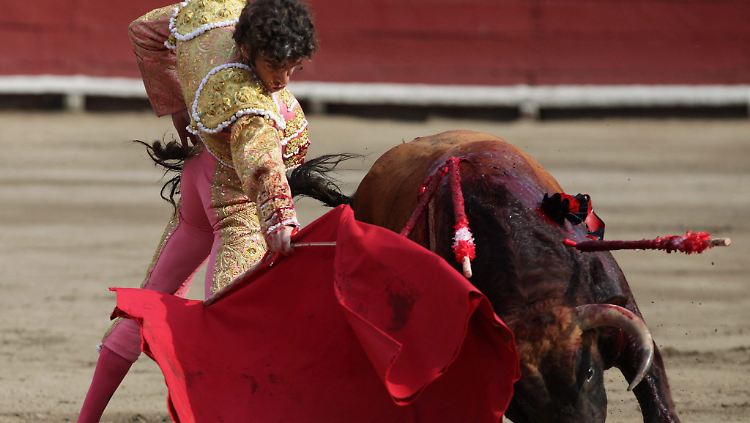 Trotz seiner Brutalität hat der Stierkampf in Spanien Tradition.