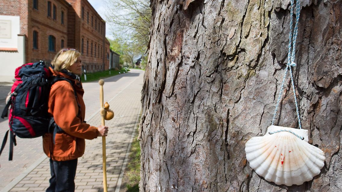 .... brandenburgischen Jakobsweg in Sieversdorf.