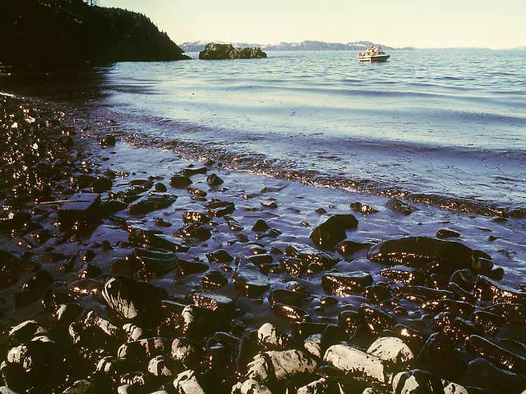 Die Schäden. die das Öl der "Exxon Valdez" anrichtete, sind auch 20 Jahre später noch erheblich.