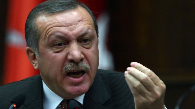 Regierungschef Erdogan hatte im Parlament noch einmal eindringlich die Reform verteidigt.