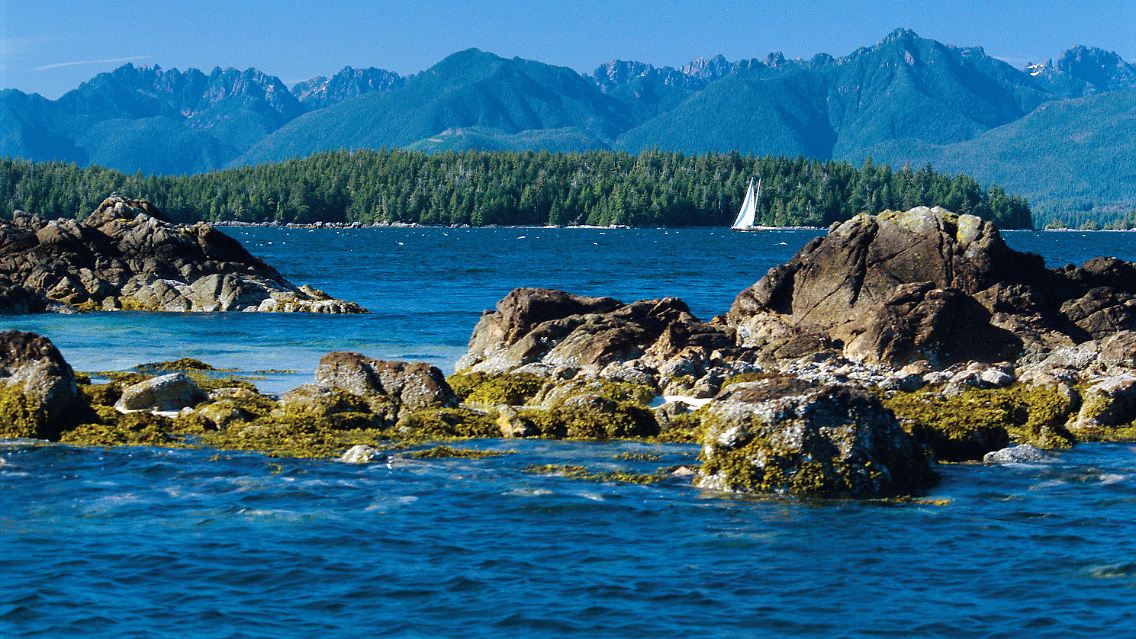 Blau und Grün als dominante Farben: Die Hügel von Vancouver Island und der Ozean sorgen - wie hier im Pacific Rim Nationalpark - für ein stimmungsvolles Panorama.