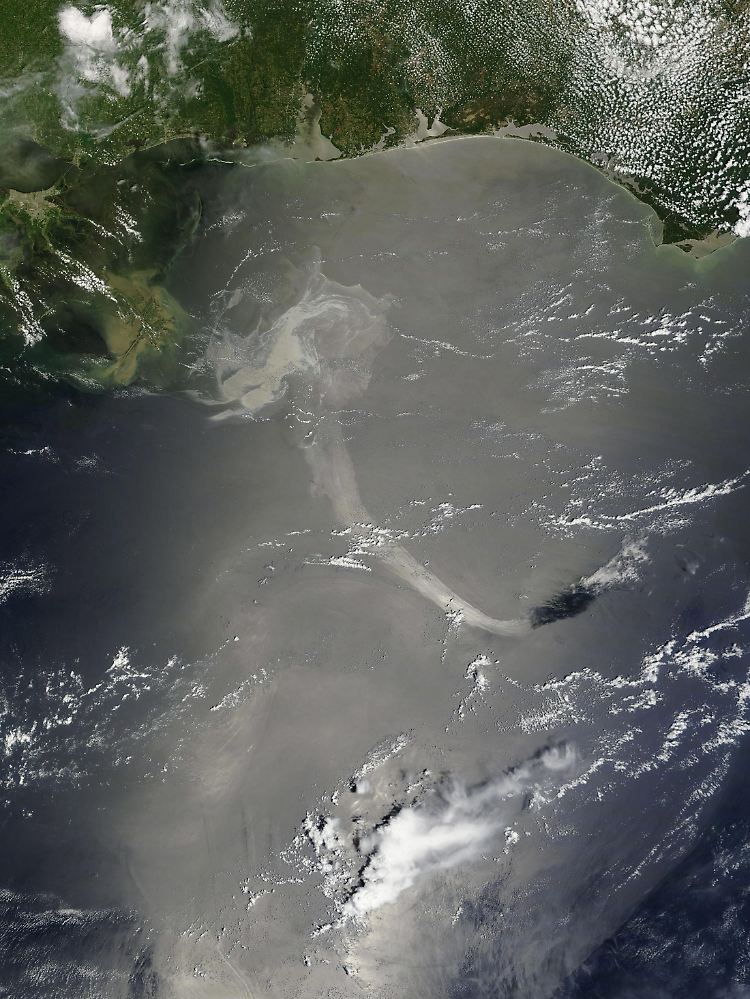 Die von der NASA veröffentlichte Satelliten-Aufnahme zeigt den sichtbaren Verlauf des Öls.