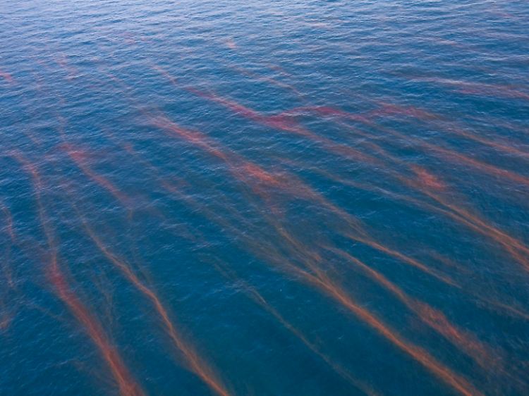 An der Wasseroberfläche ist nur ein geringes Ausmaß der verheerenden Ölpest auszumachen. Der "Super-Gau" lauert unter Wasser.