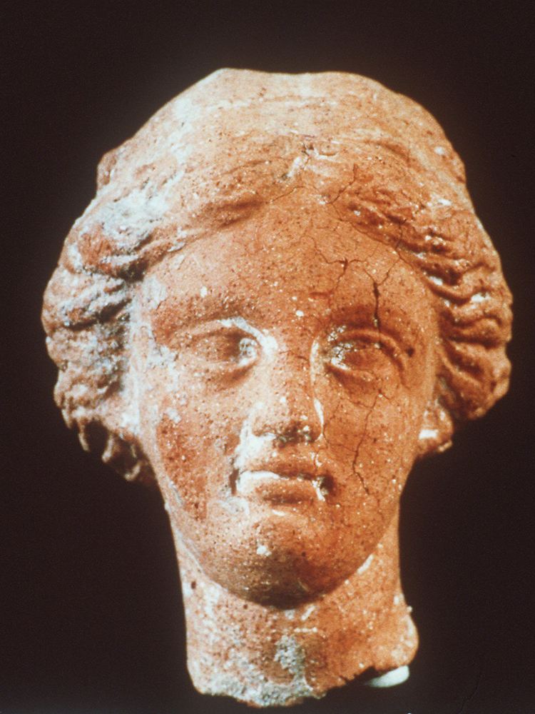 Nur wenige Fundstücke, wie dieser Terracotta-Kopf aus der Römerzeit, gelangen in ein Museum.