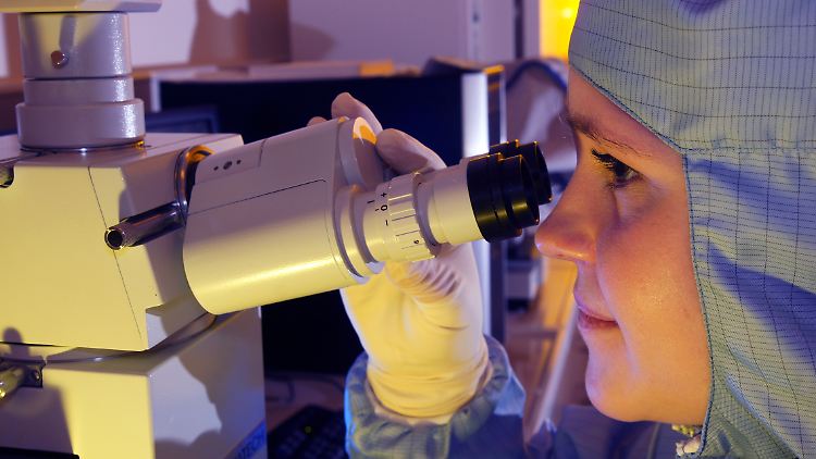 Nur unter dem Mikroskop zu sehen: die kleinste Pumpe der Welt. 