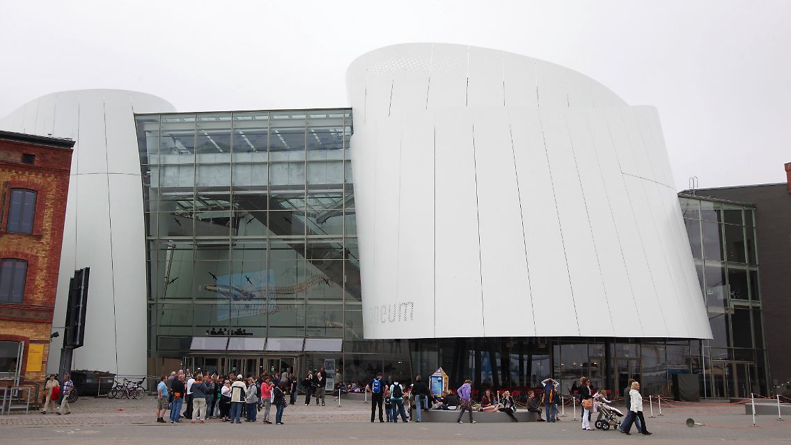 Das 2008 neu eröffnete Ozeaneum zeigt in Aquarien und Ausstellungen die Unterwasserwelt der nordischen Meere.