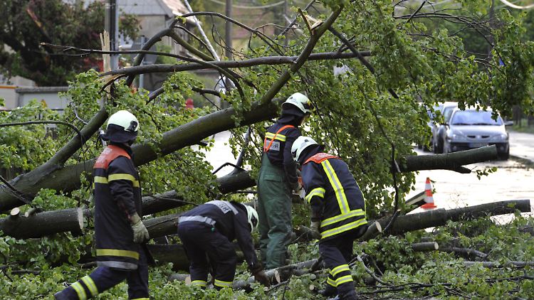Feuerwehrleute räumen in Schönborn, zehn Kilometer östlich von Dresden, umgestürzte Bäume von der Straße.