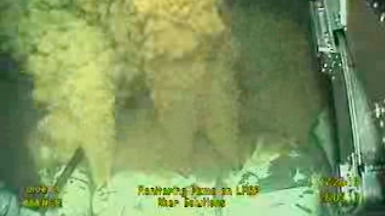 BP zeigt das Geschehen am Meeresgrund per Webcam.