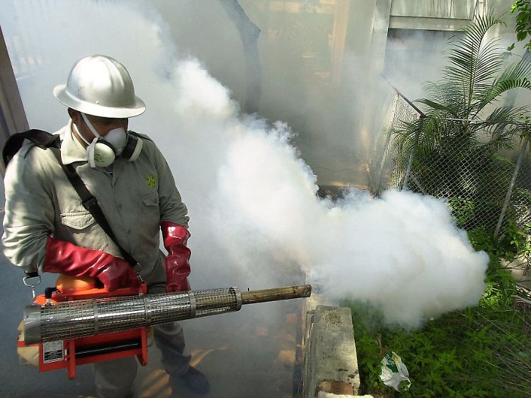 Kampf gegen Dengue-Fieber in Caracas: Mückennester werden ausgeräuchert. (Archivbild)