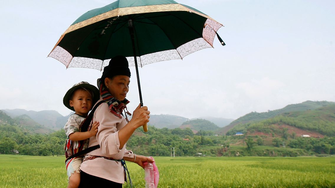 Allein im Mai gab es in Vietnam 850 Dengue-Fälle (Bild: In einem Reisfeld in der vietnamesischen Provinz Son La)