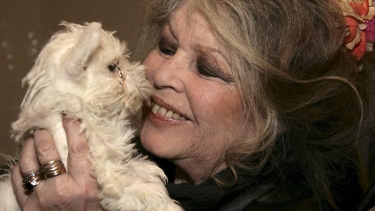 Brigitte Bardot hat ein Herz für Tiere.