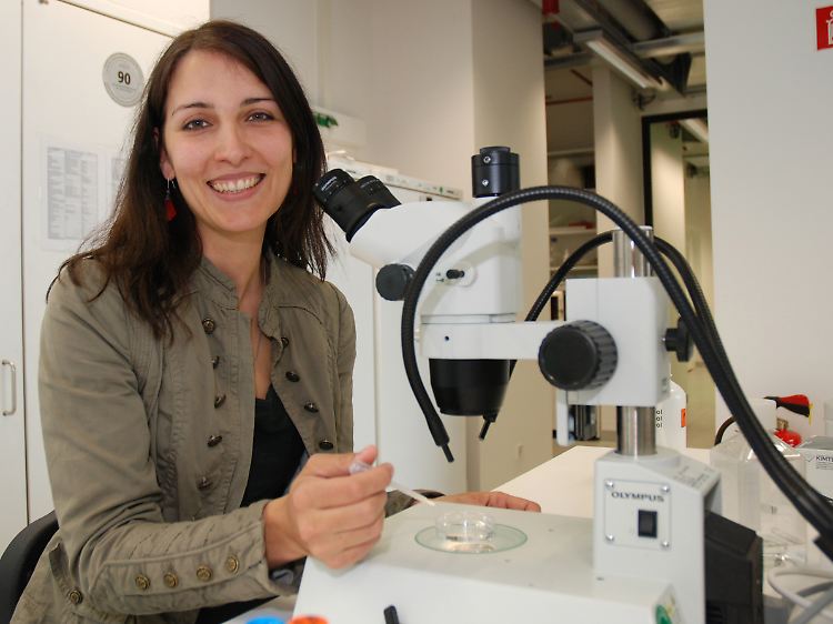 Planarien-Forschung live: Expertin Dr. Kerstin Bartscherer an ihrem Arbeitsplatz im Max-Planck-Institut für molekulare Biomedizin in Münster.