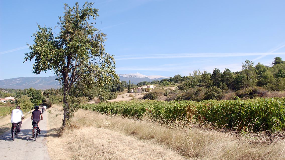 Mit dem E-Bike durchs Vaucluse - so lässt sich die Landschaft der Provence fast ohne Anstrengung erleben.
