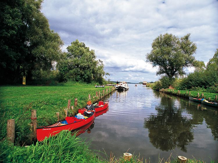 Fast unberührte Natur - im Müritz-Nationalpark lassen sich Fischadler, Biber und Rohrdommel vom Kanu aus beobachten.