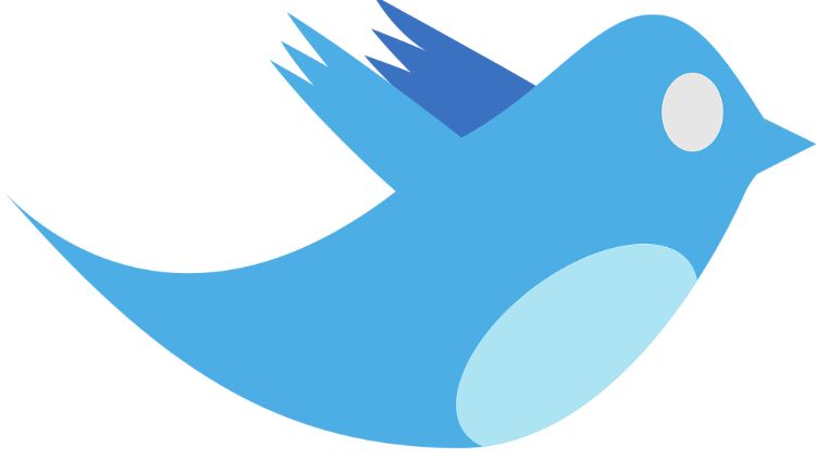 Twitter_Bird.png